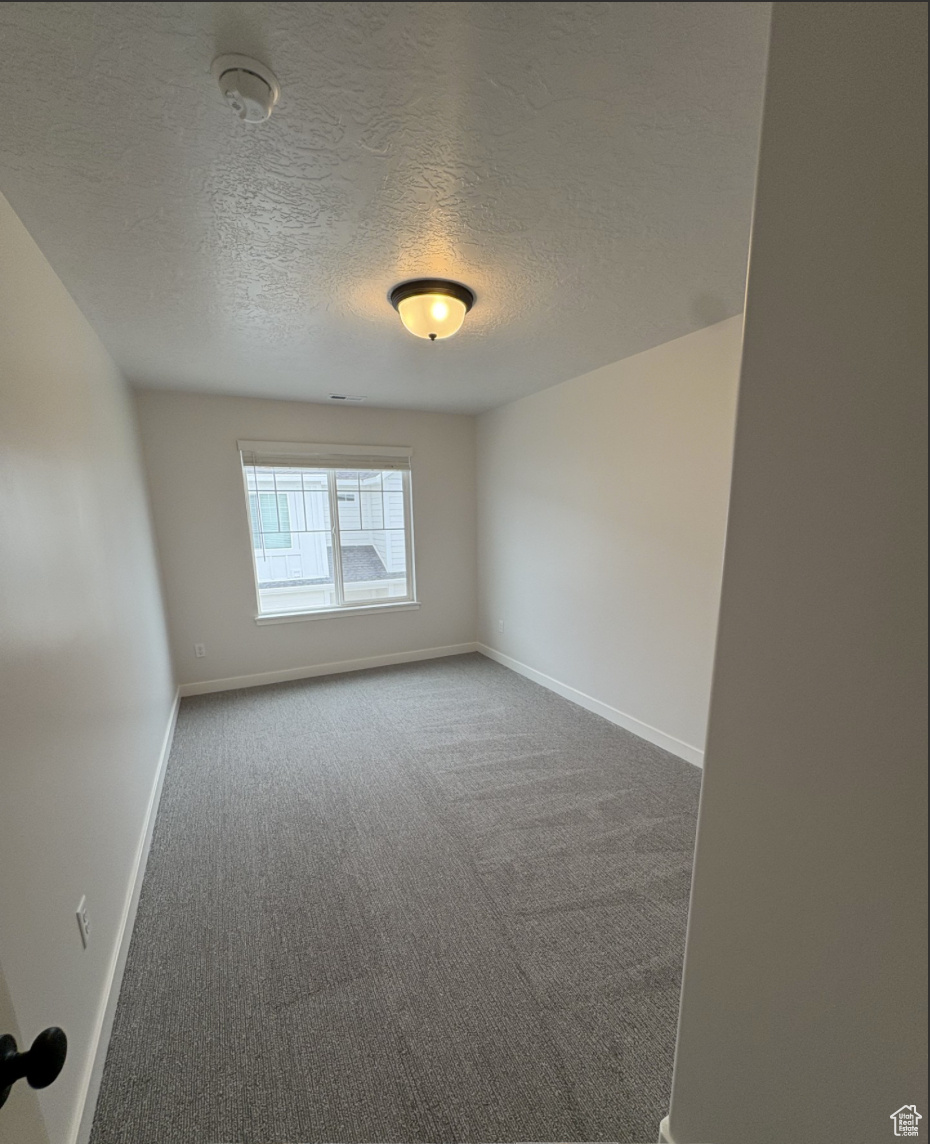 Spare room with carpet flooring and a textured ceiling