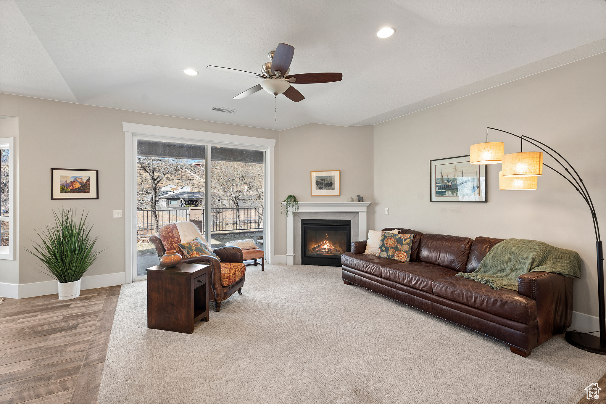 Natural LIght from Floor to Ceiling