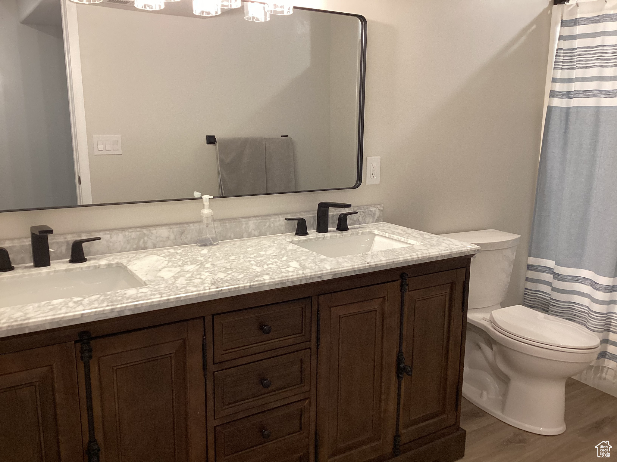 Bathroom featuring toilet, vanity, hardwood / wood-style floors, and walk in shower
