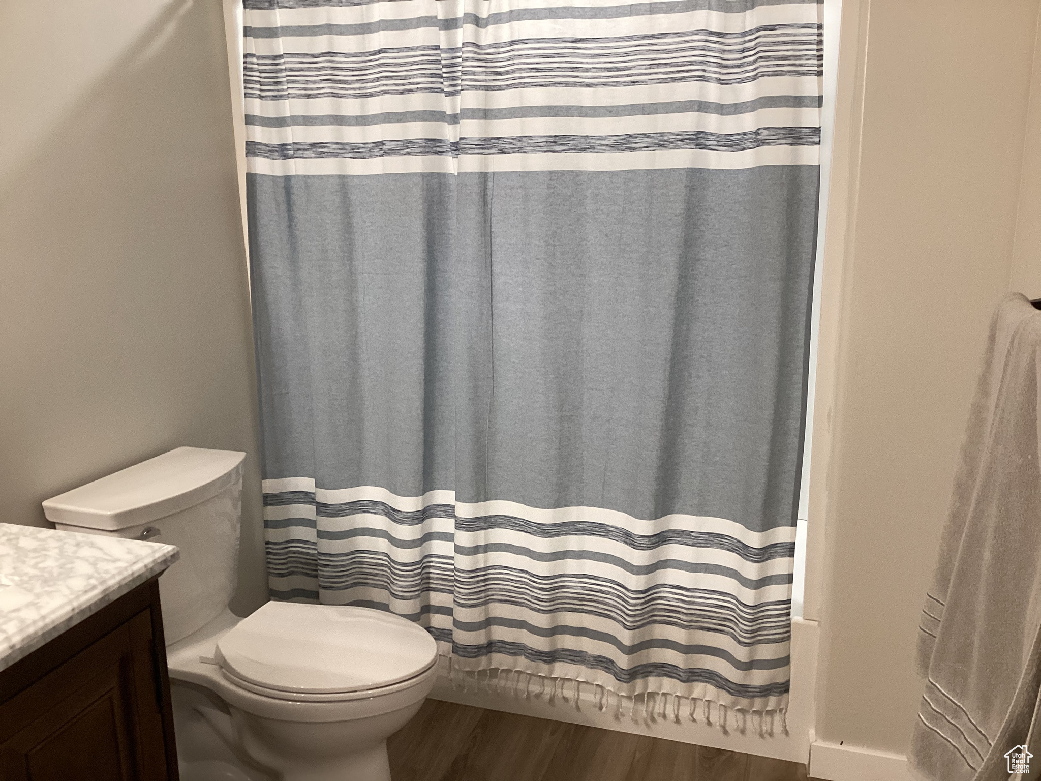 Bathroom with toilet, wood-type flooring, curtained shower, and vanity