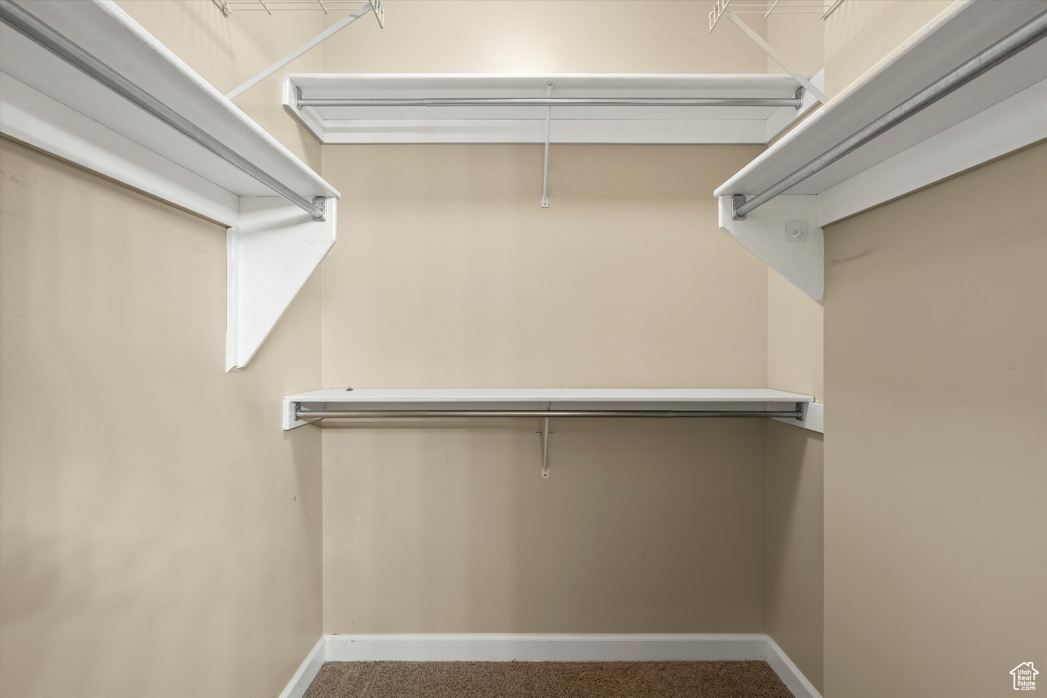 Spacious closet featuring carpet