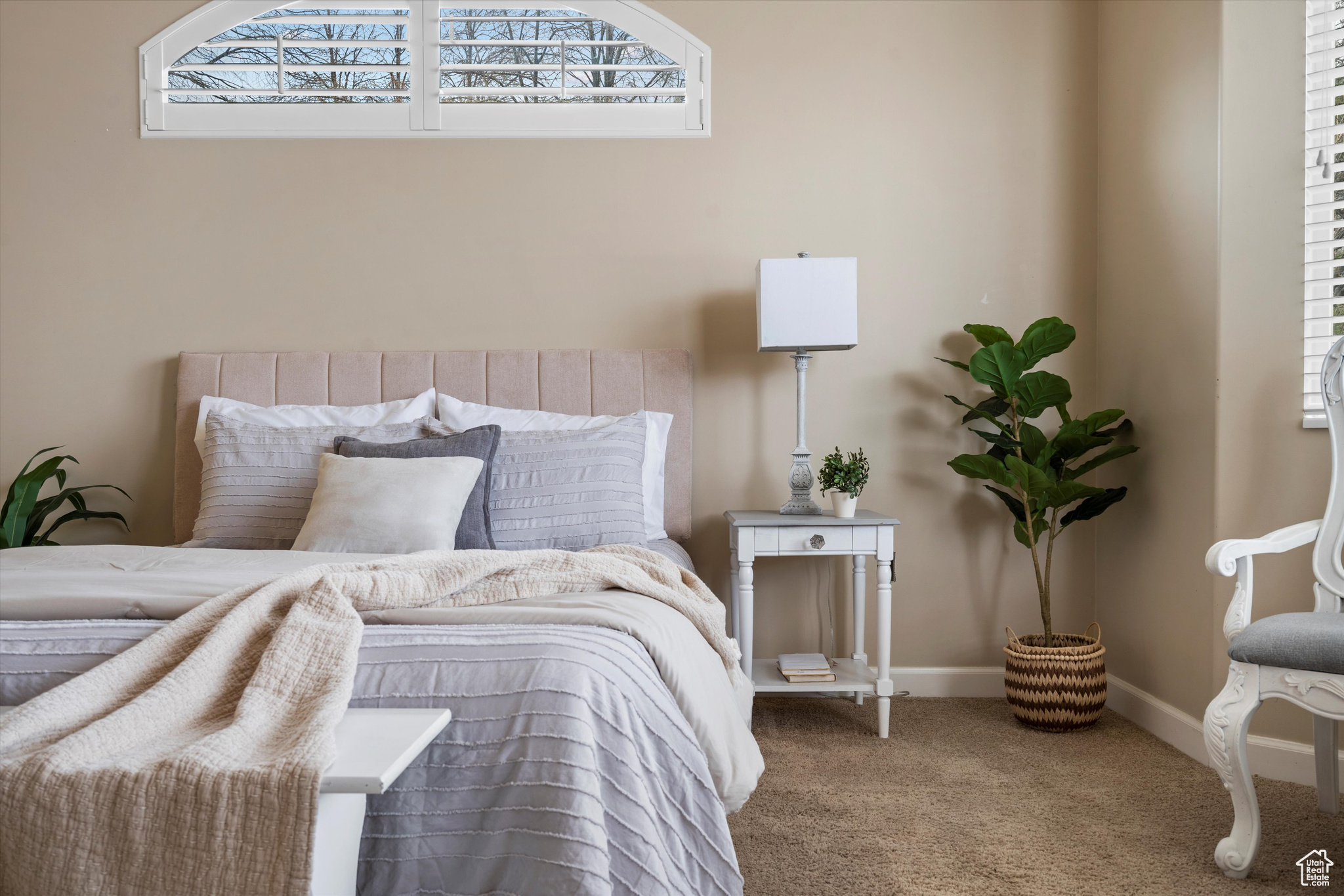 Bedroom with multiple windows and carpet flooring