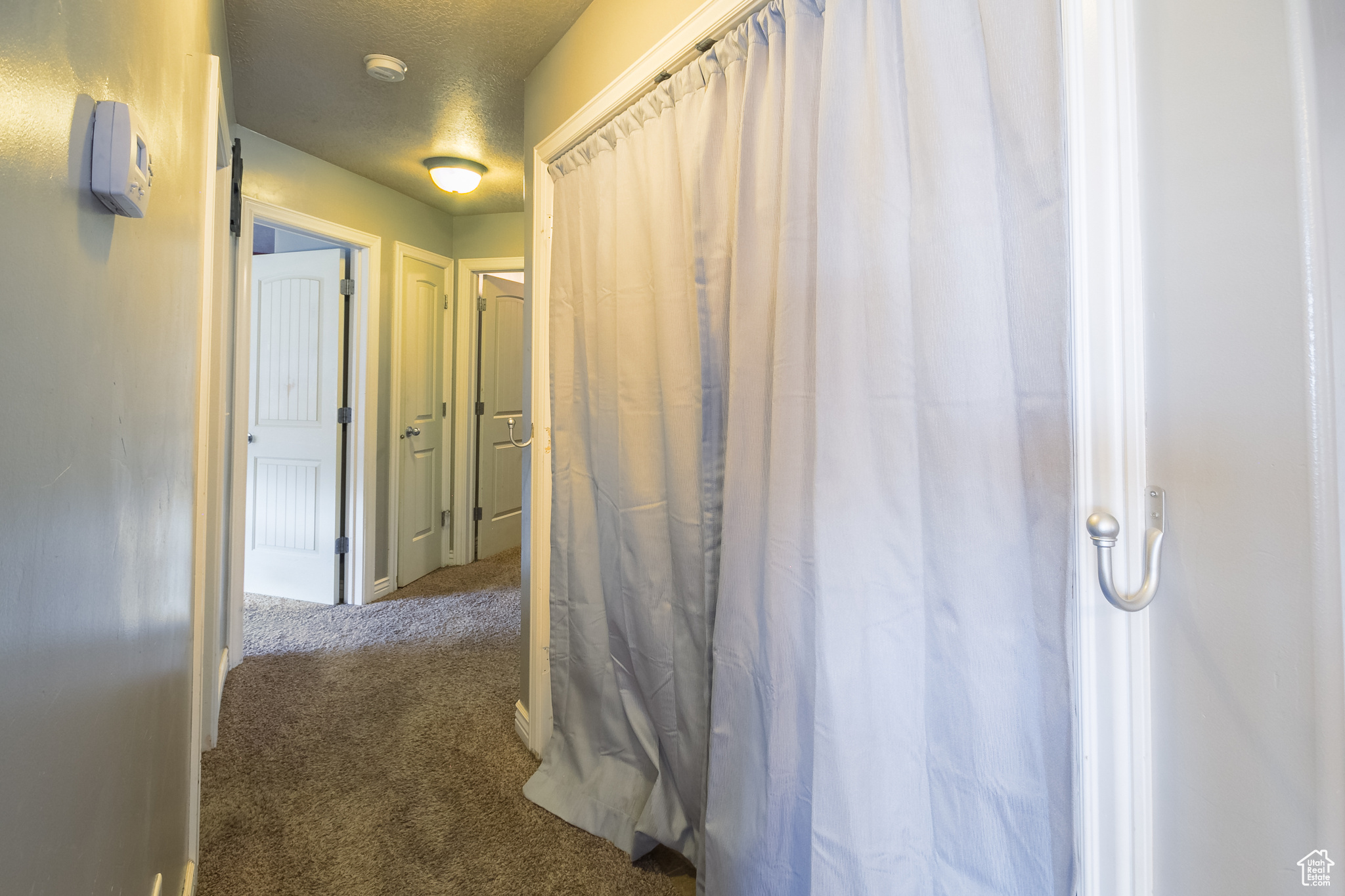 Hall featuring carpet and a textured ceiling