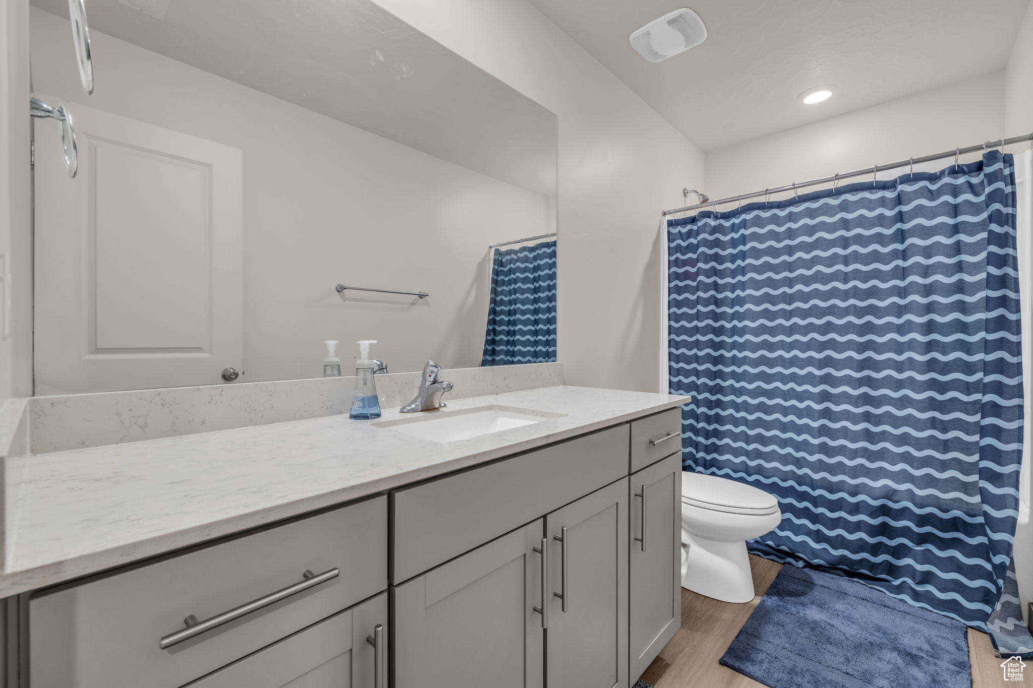 Bathroom featuring vanity, toilet, and hardwood / wood-style floors