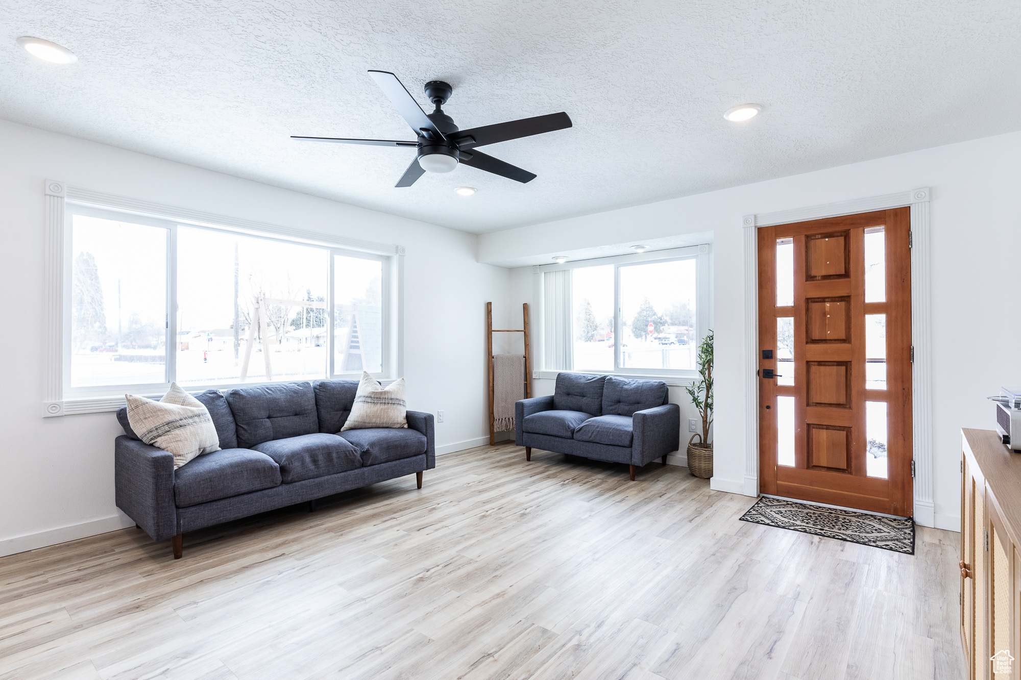 Living room featuring light wood-type flooring, a wealth of natural light, and baseboards