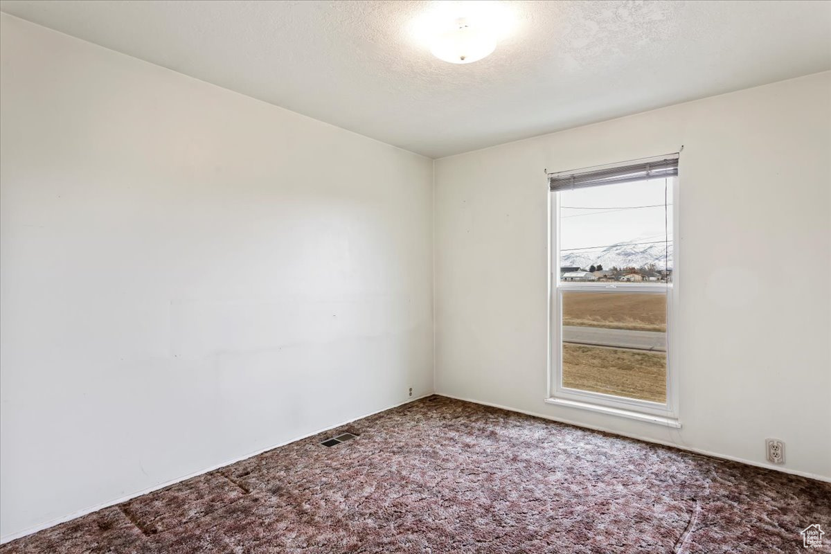 Carpeted empty room featuring visible vents and a textured ceiling