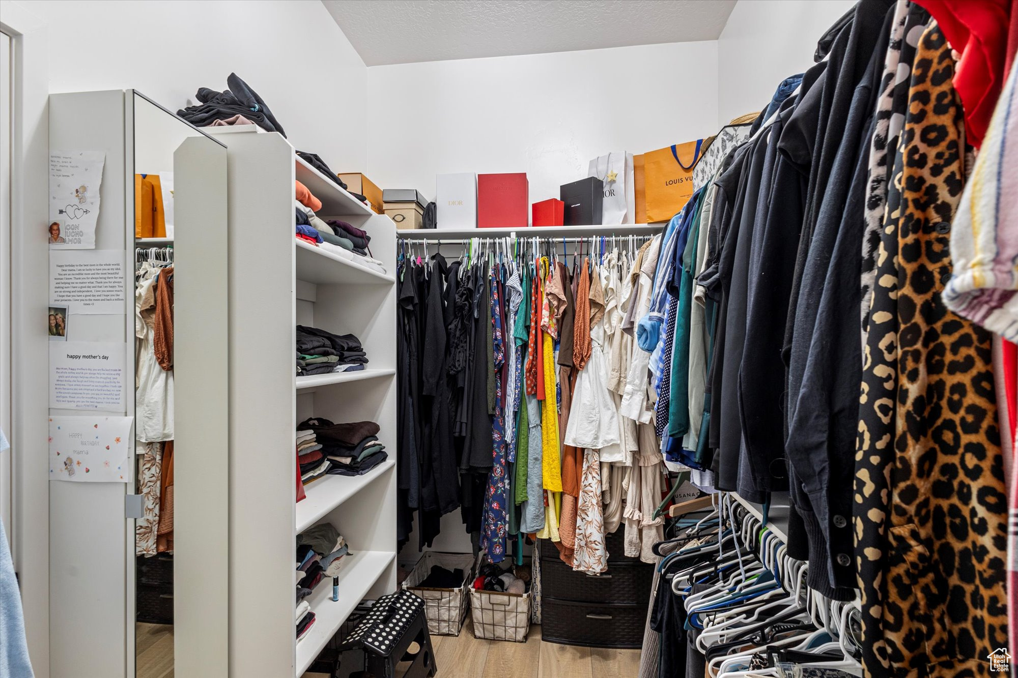 Spacious closet with hardwood / wood-style flooring