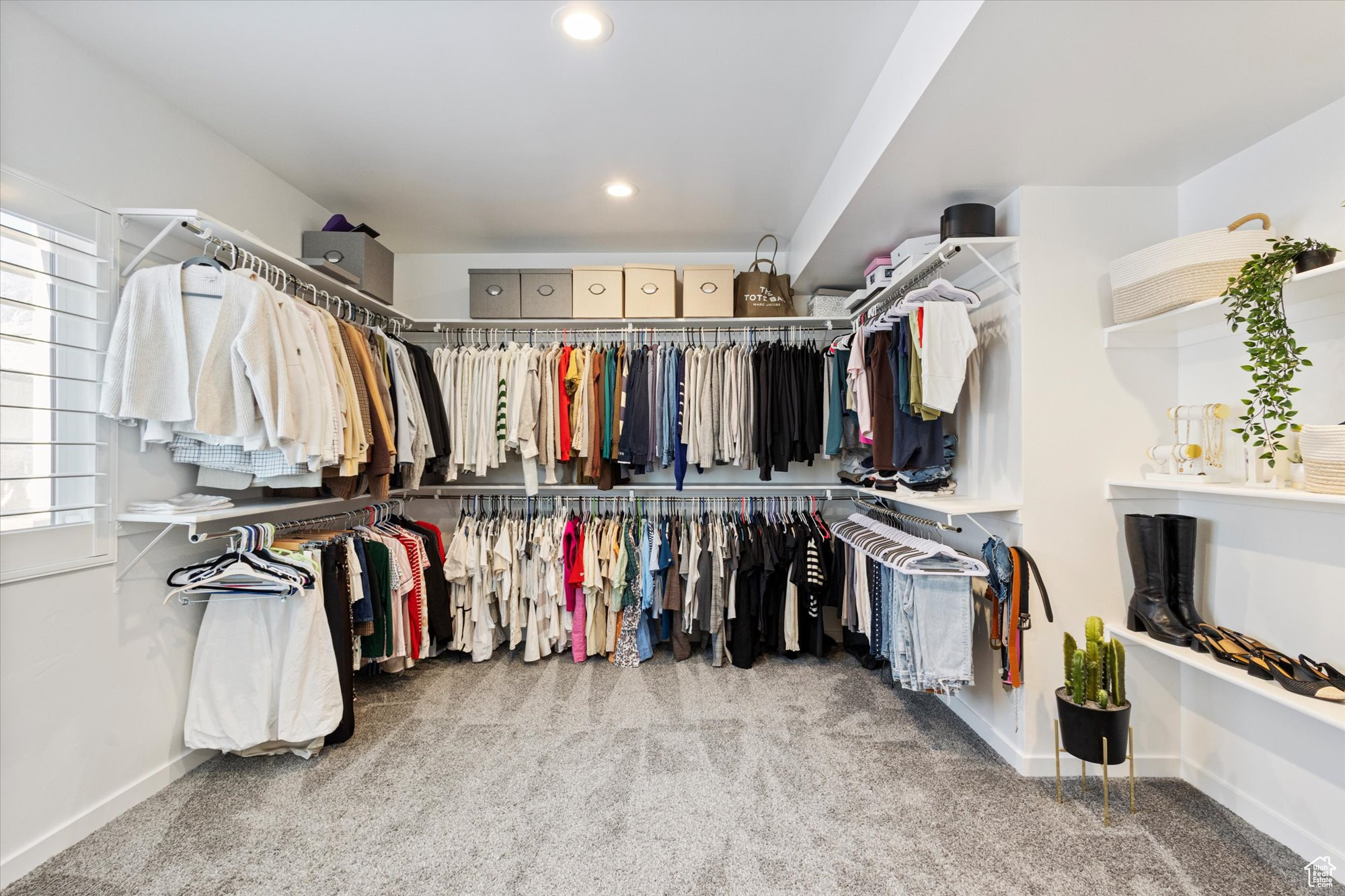 Spacious closet with carpet