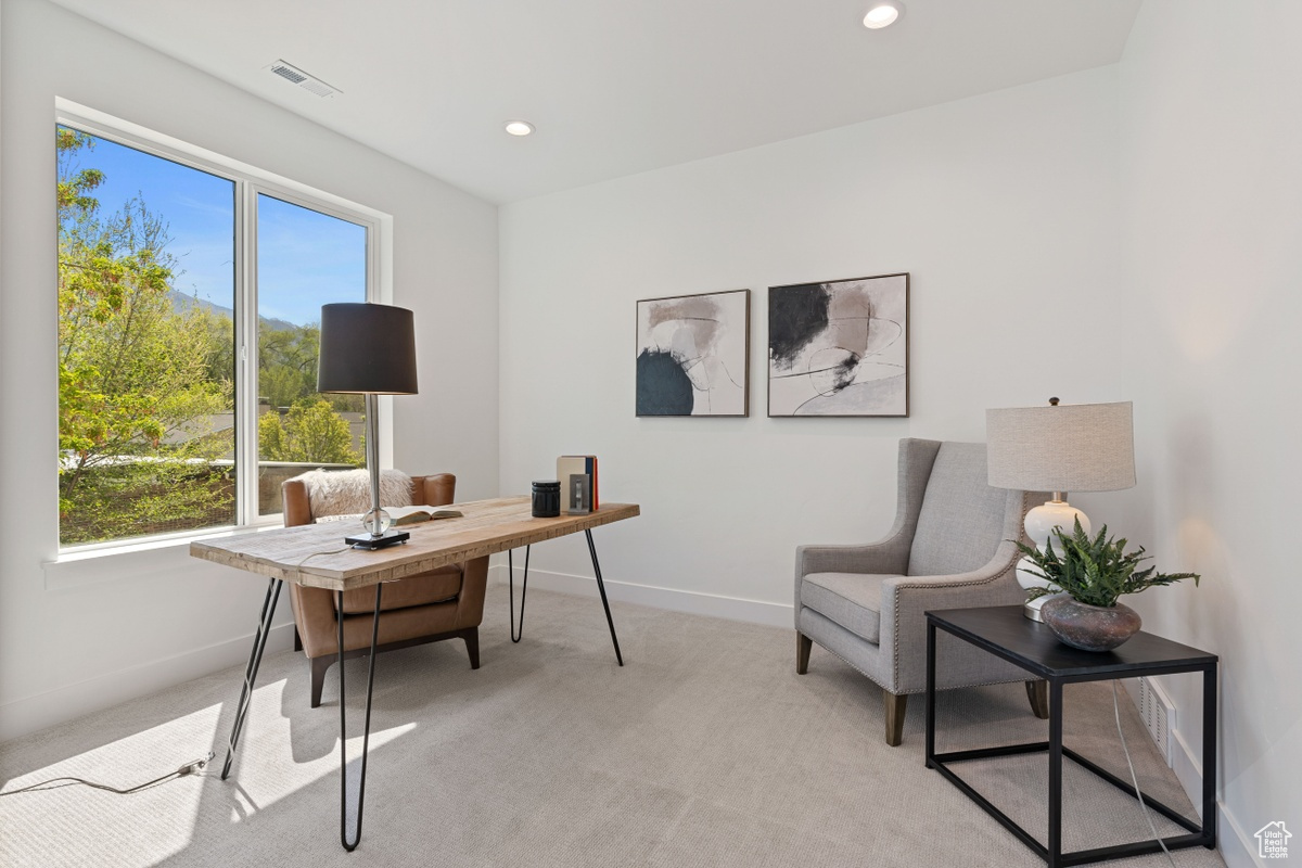 Office featuring light colored carpet, visible vents, baseboards, and recessed lighting