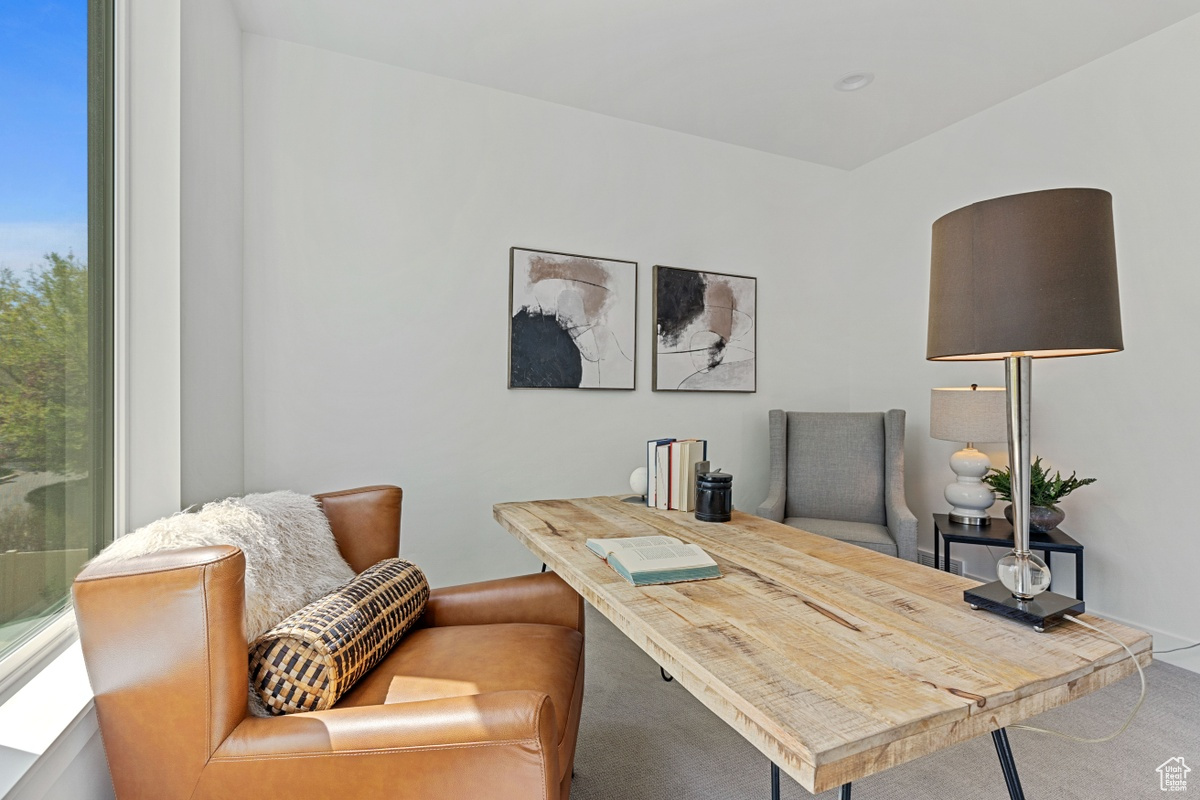 Office featuring carpet floors