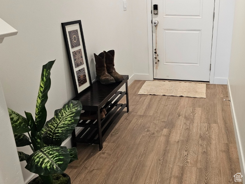 Entry featuring light hardwood / wood-style floors
