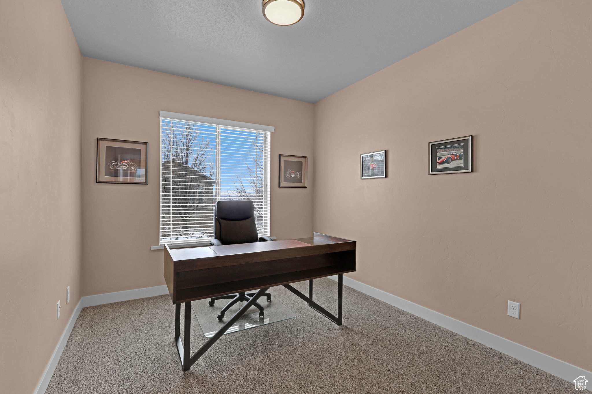 View of carpeted office