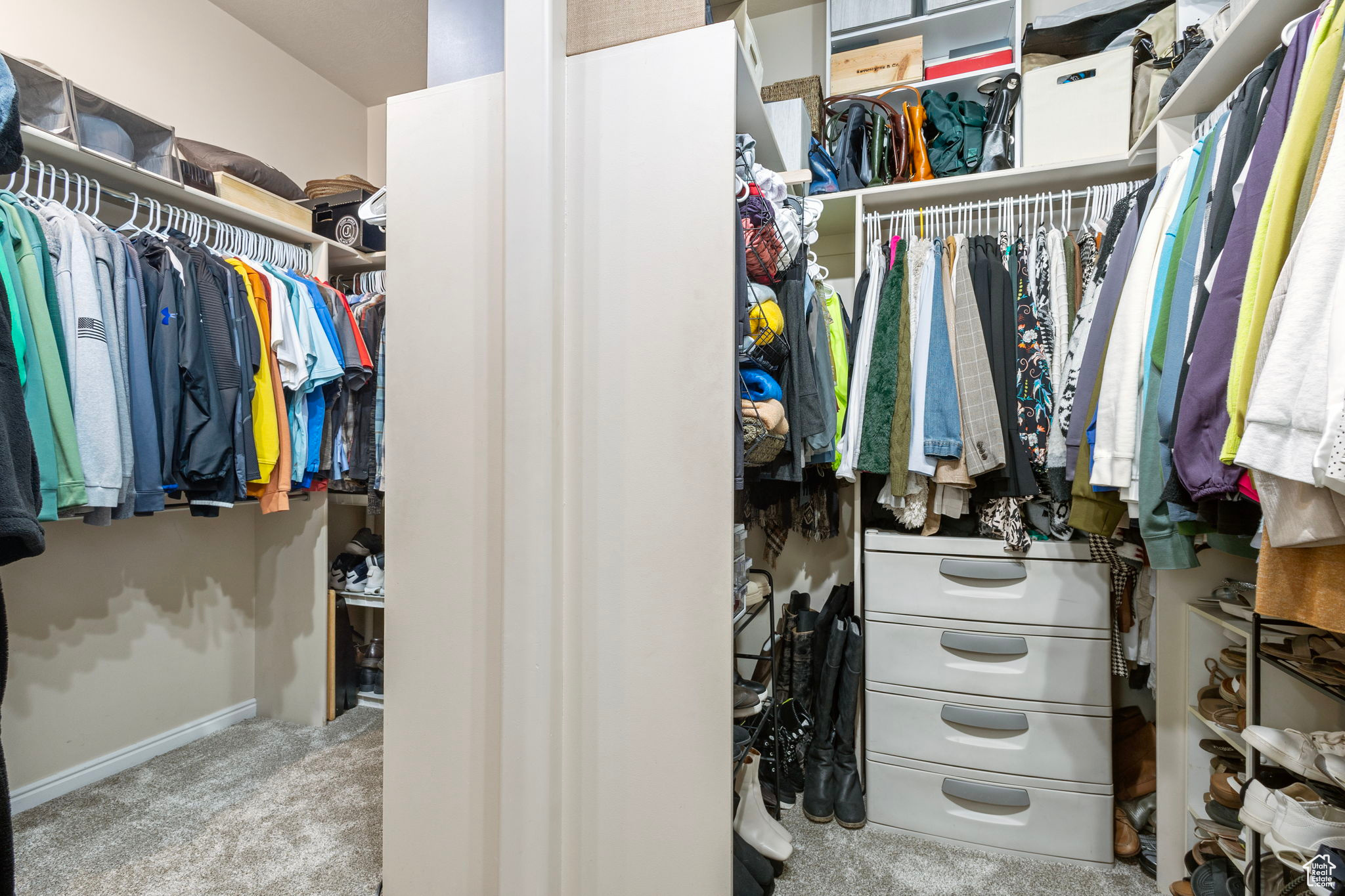 Spacious closet featuring light colored carpet