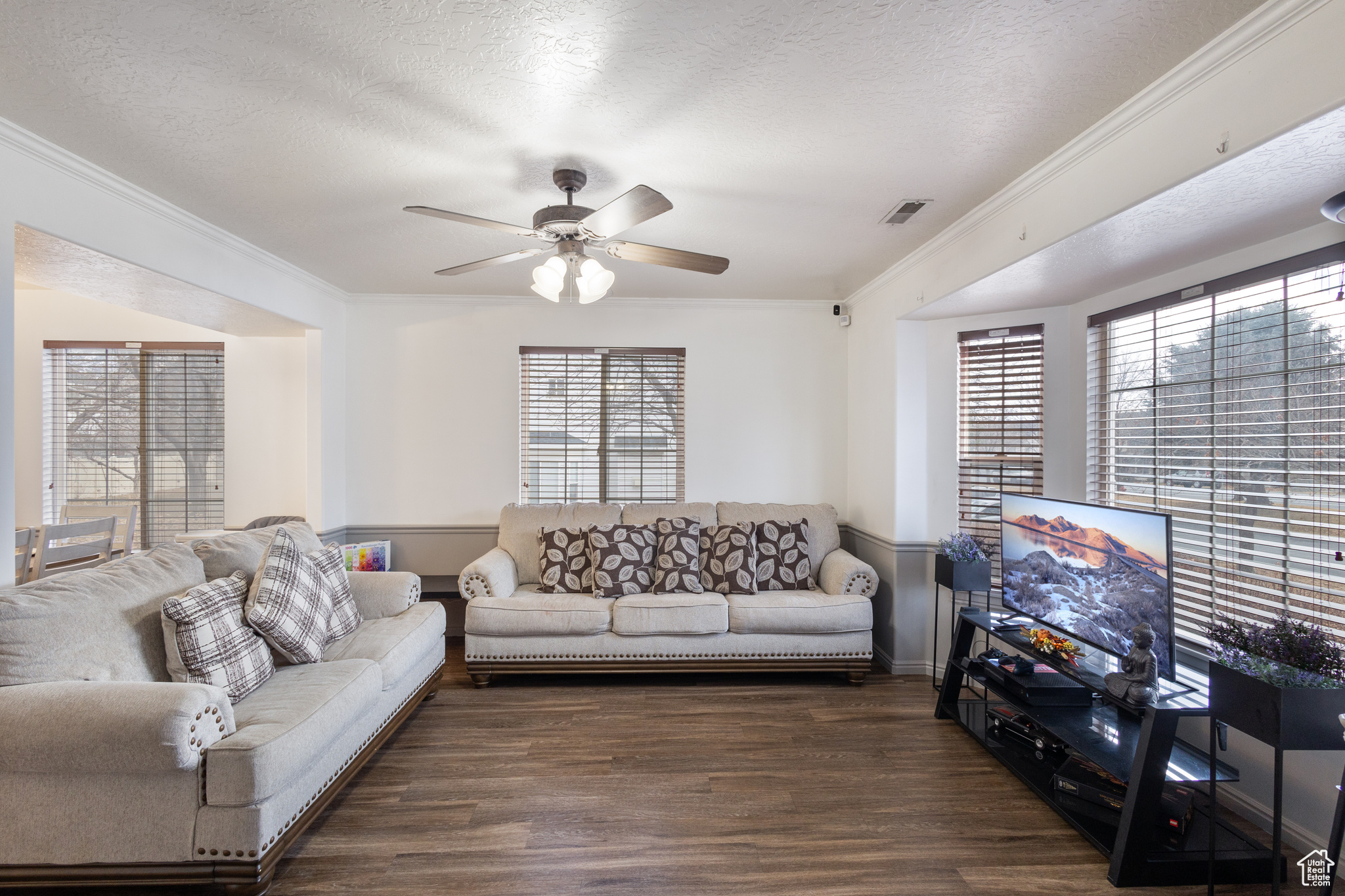Living room with ceiling fan, ornamental molding, dark hardwood / wood-style floors, and a textured ceiling