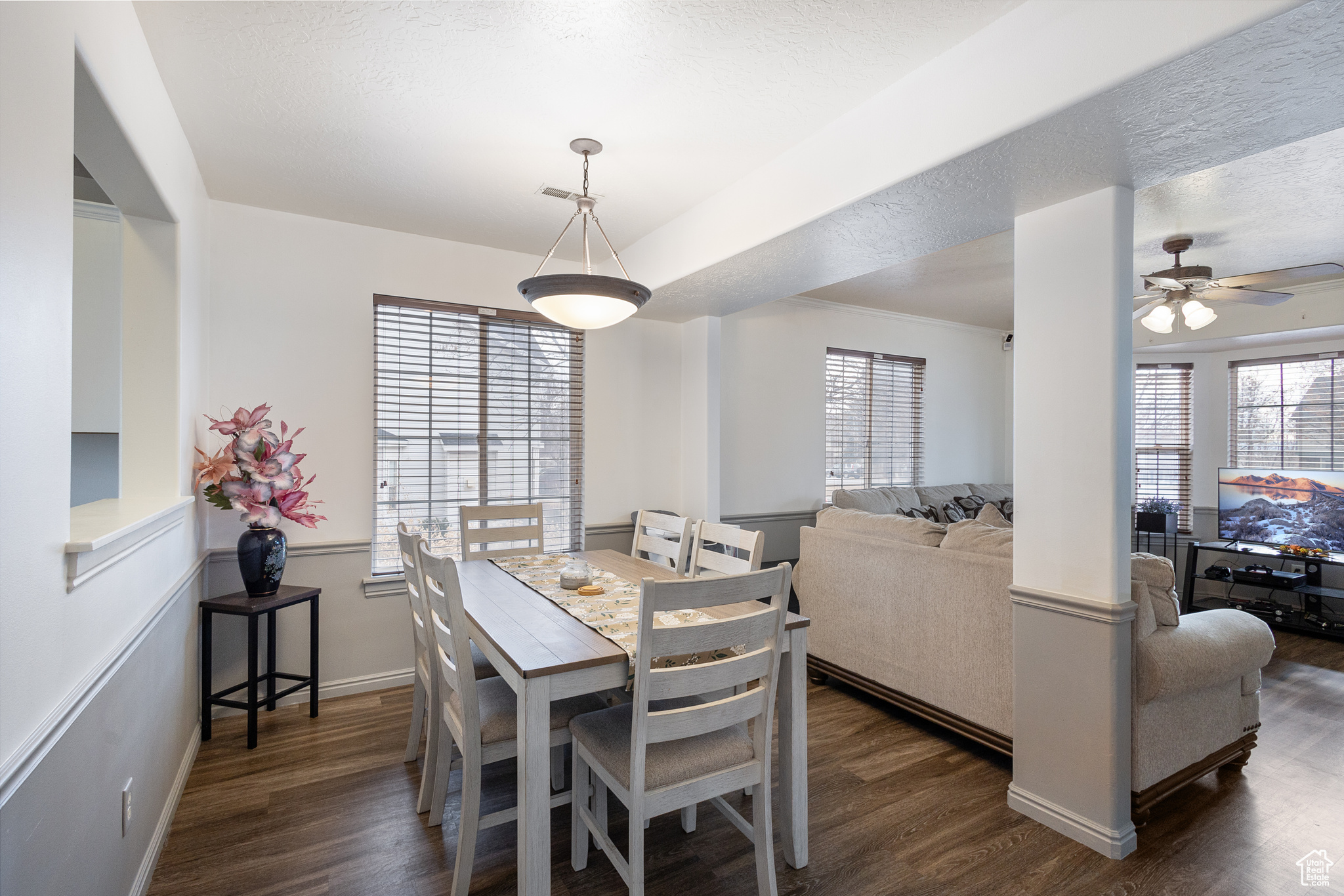 Dining space featuring ceiling fan, dark hardwood / wood-style flooring, and a wealth of natural light
