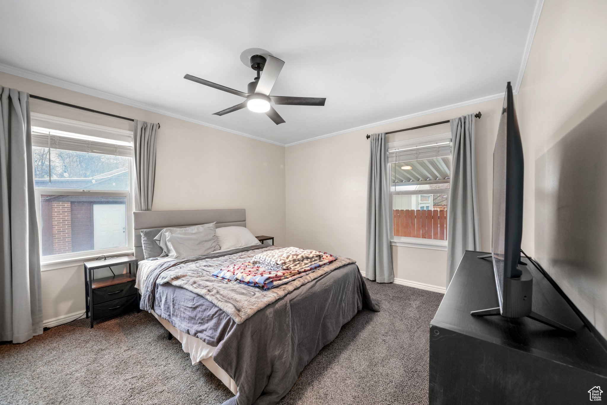 Carpeted bedroom with multiple windows, crown molding, baseboards, and ceiling fan