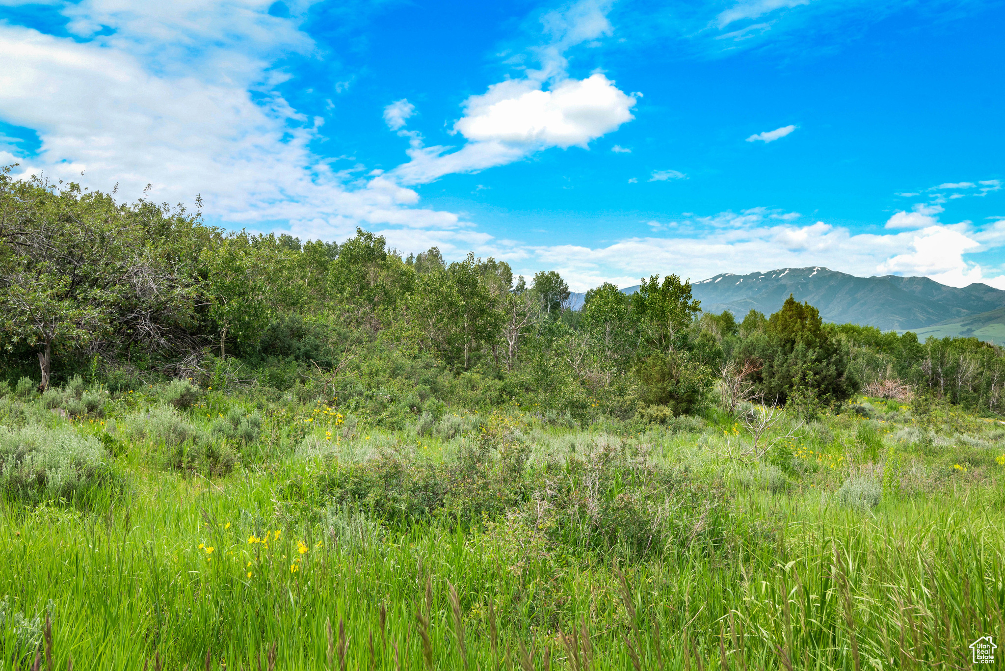 GREEN CANYON RD