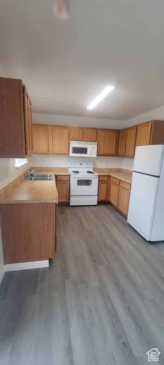 Kitchen featuring white appliances, a sink, light countertops, light wood-type flooring, and brown cabinetry