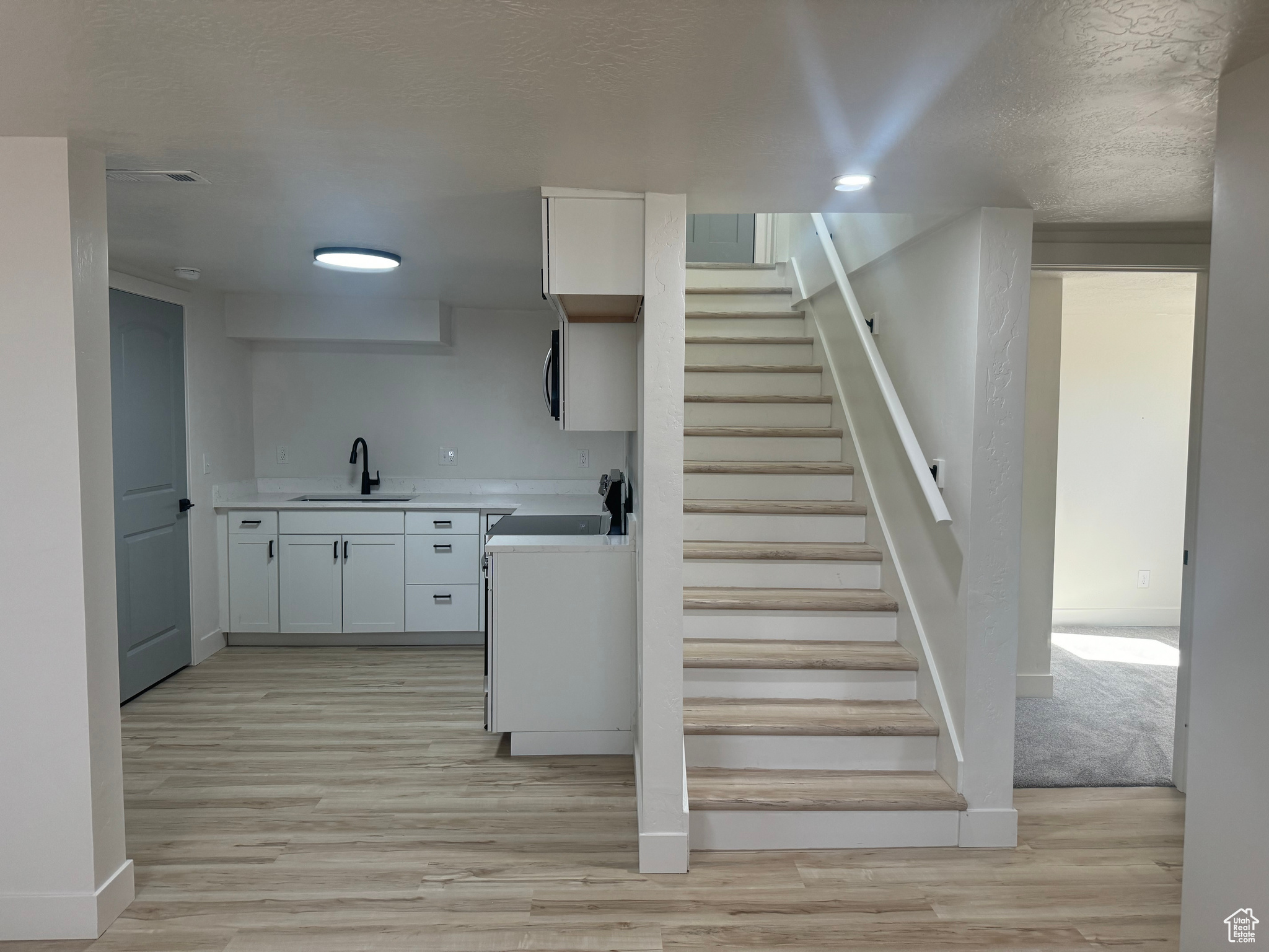Basement Kitchen