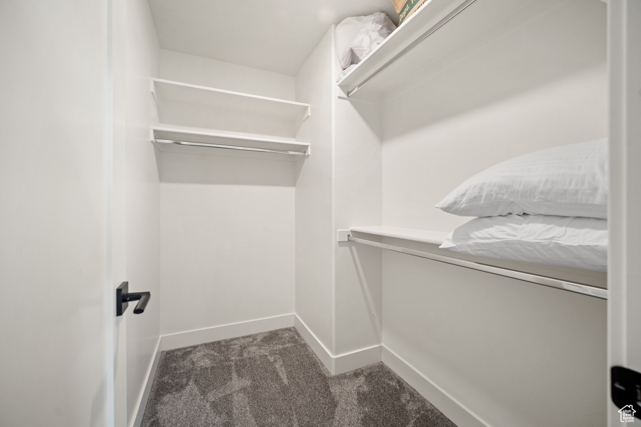 Walk in closet with carpet floors