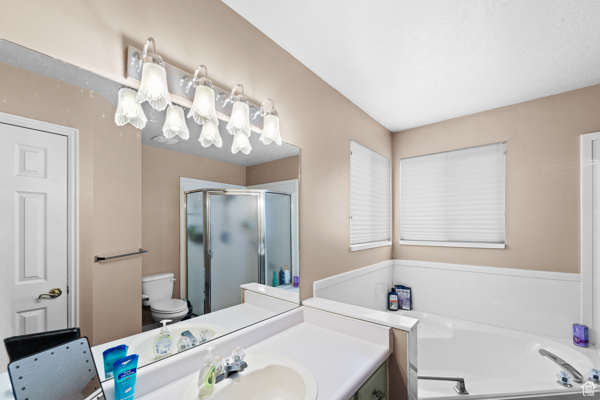 Bathroom with toilet, a stall shower, a garden tub, and vanity
