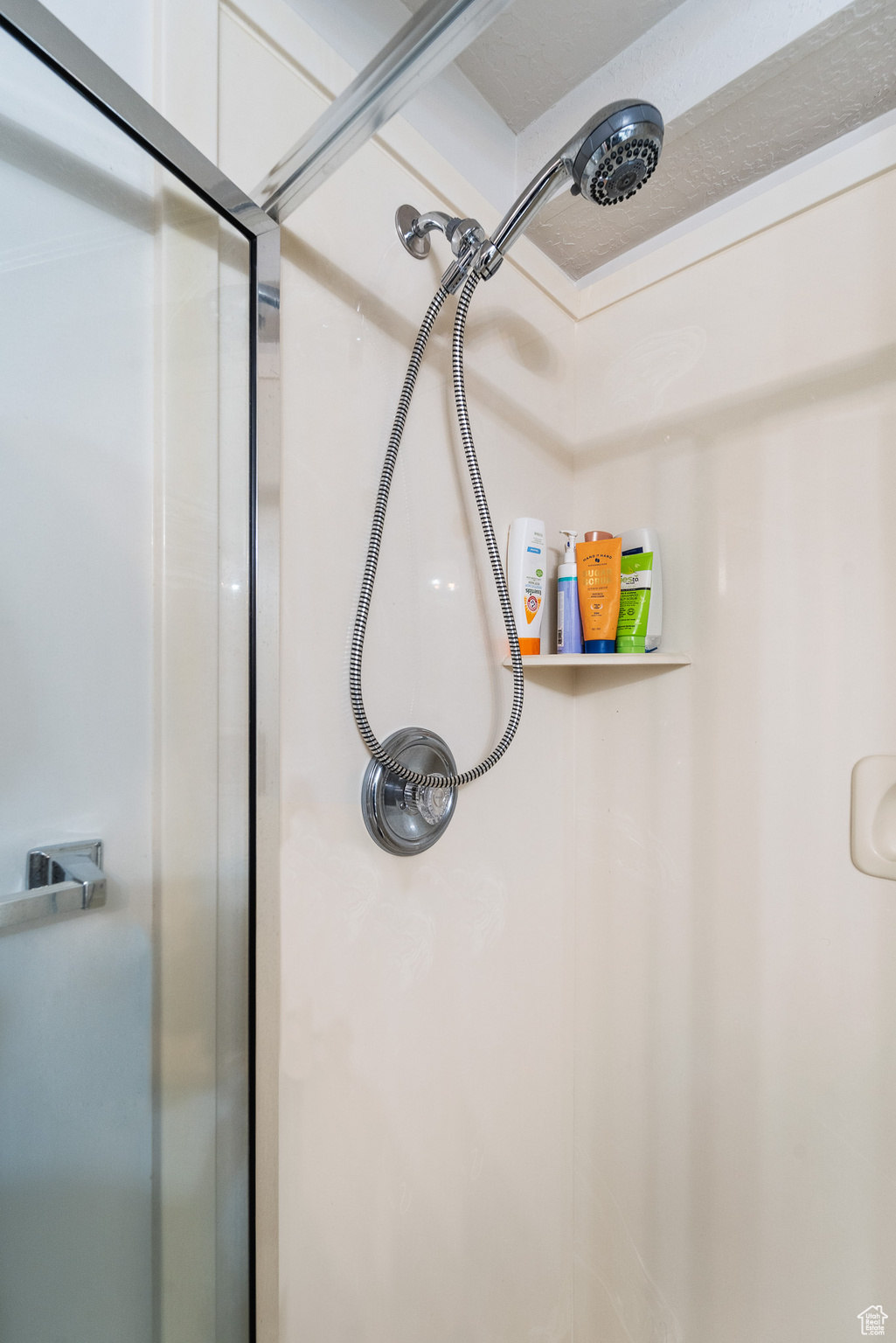 Interior details with walk in shower