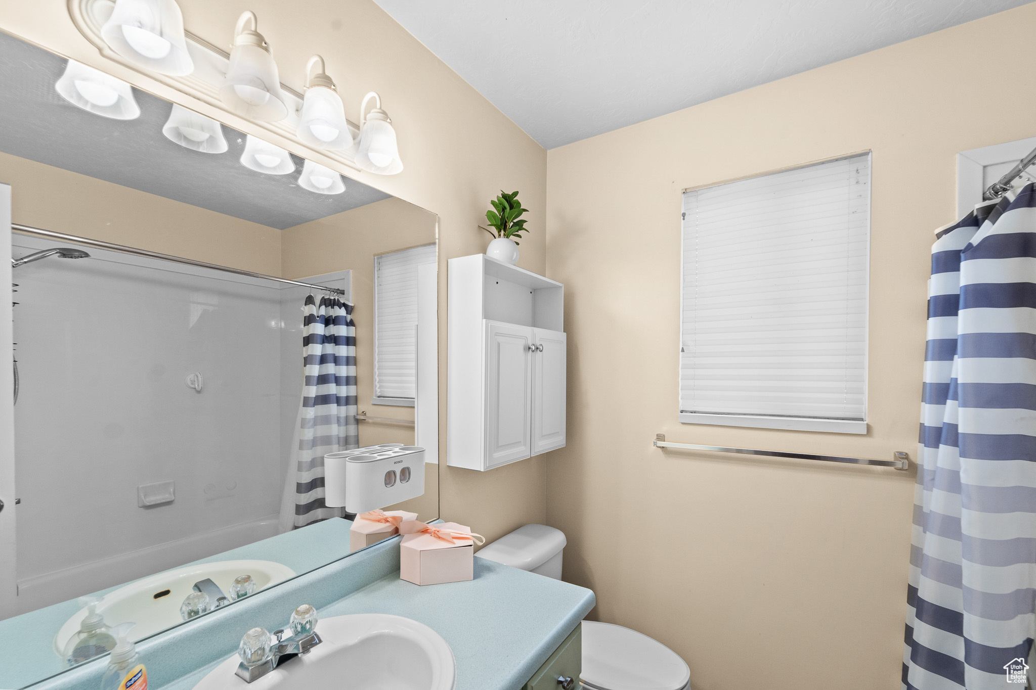 Full bathroom featuring toilet, vanity, and a shower with shower curtain