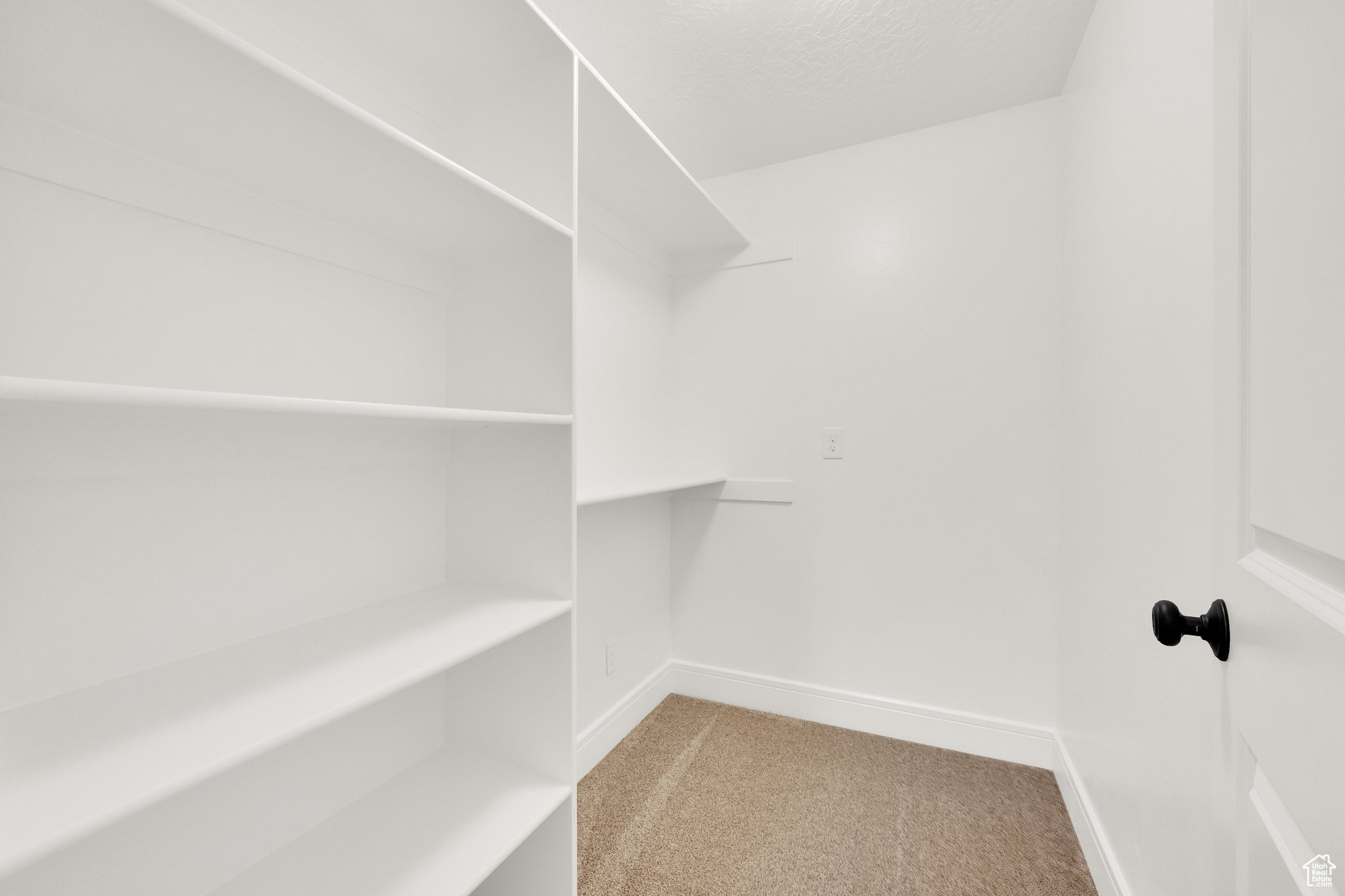 Walk in closet, new carpet, new paint