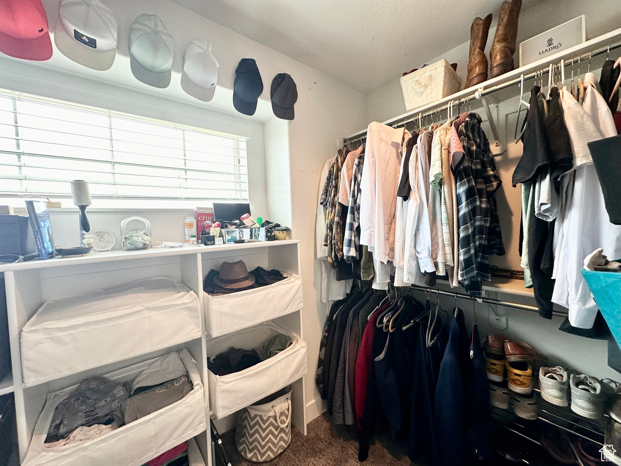 Walk in closet with carpet floors