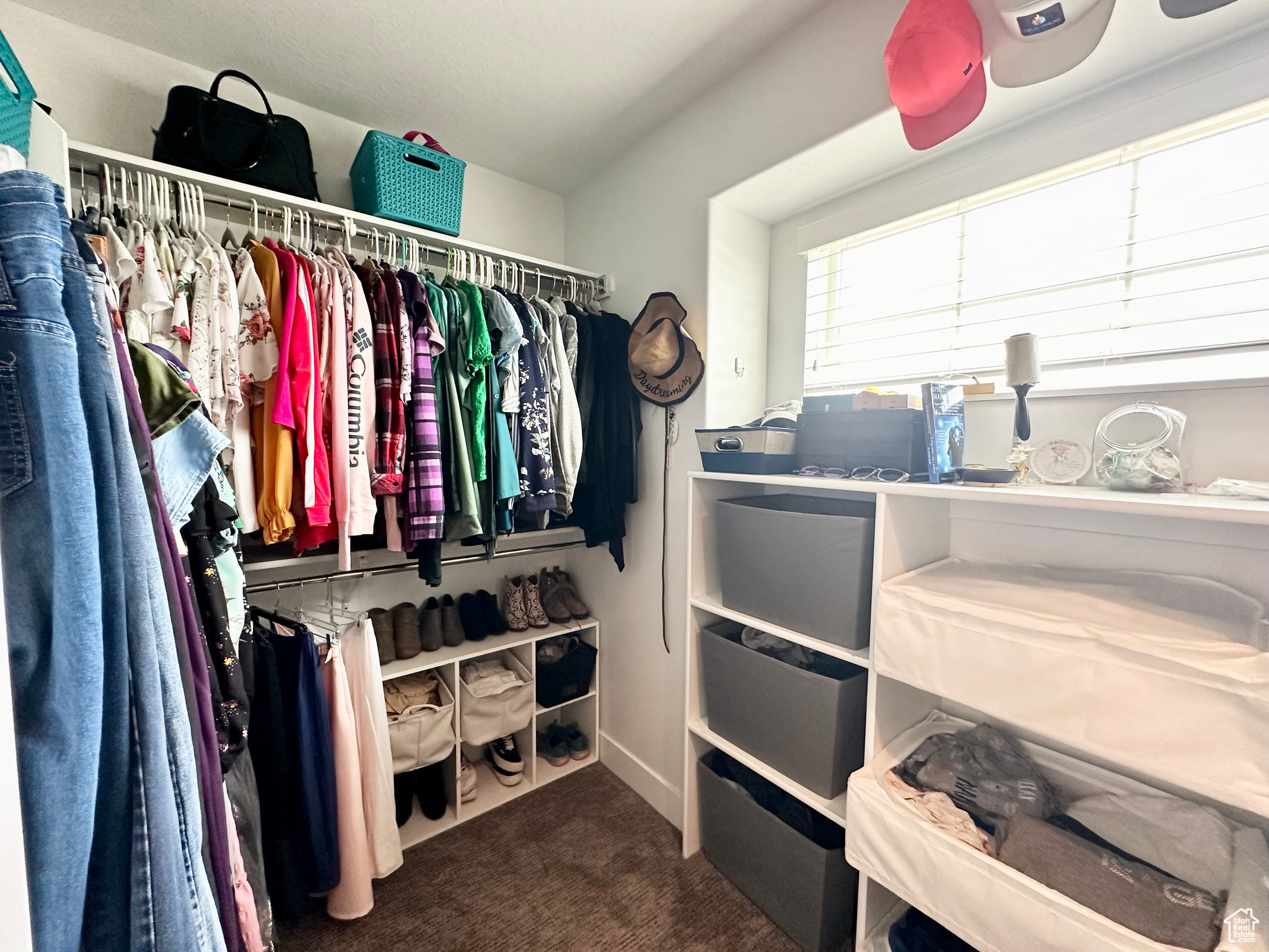 Spacious closet featuring carpet flooring
