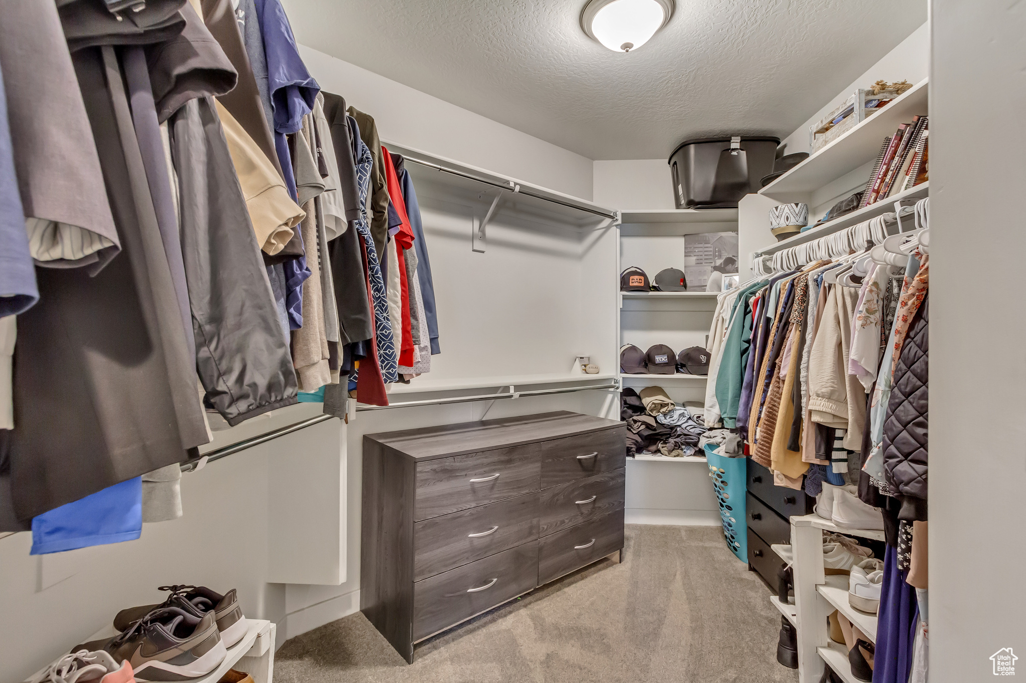 Walk in closet with light colored carpet