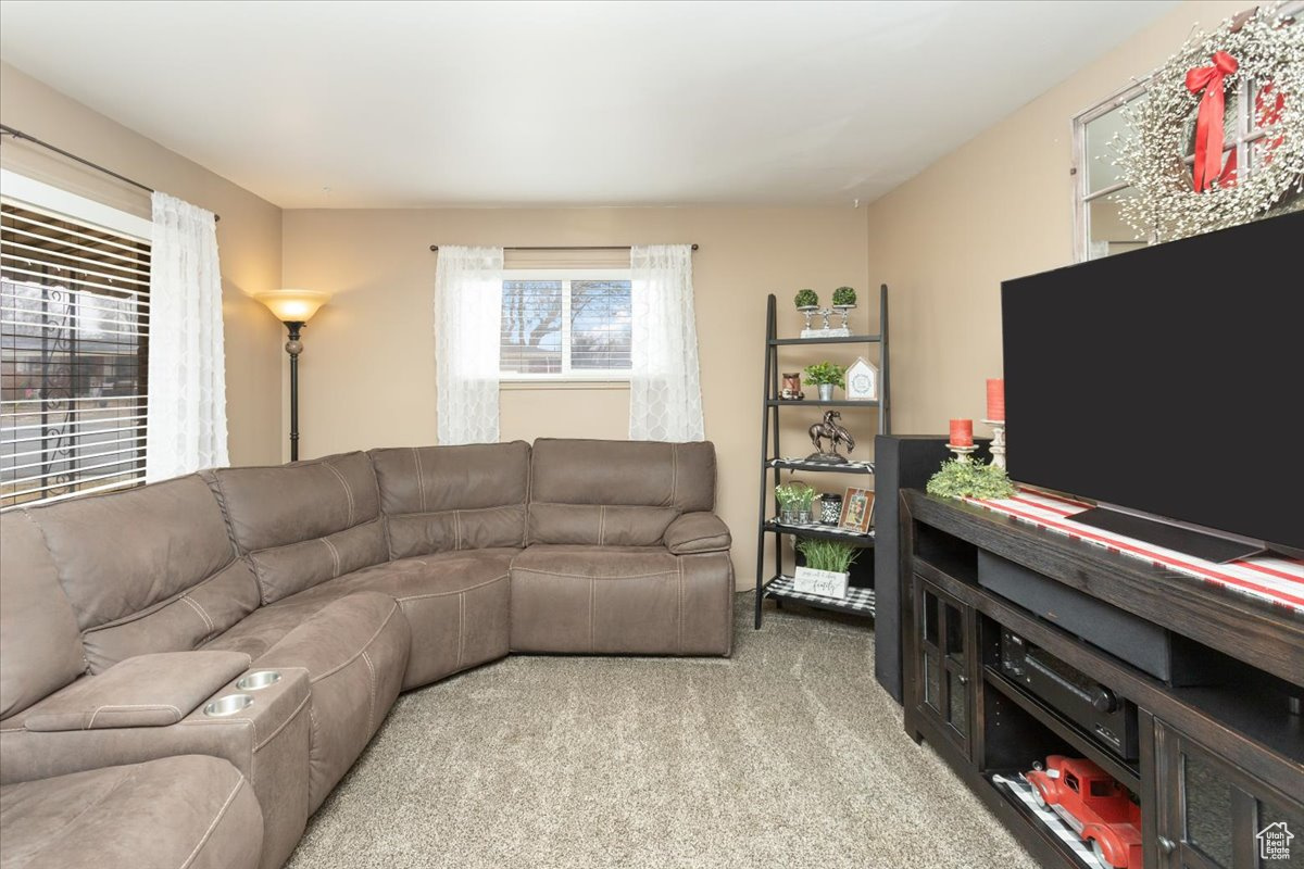 Living room featuring light carpet