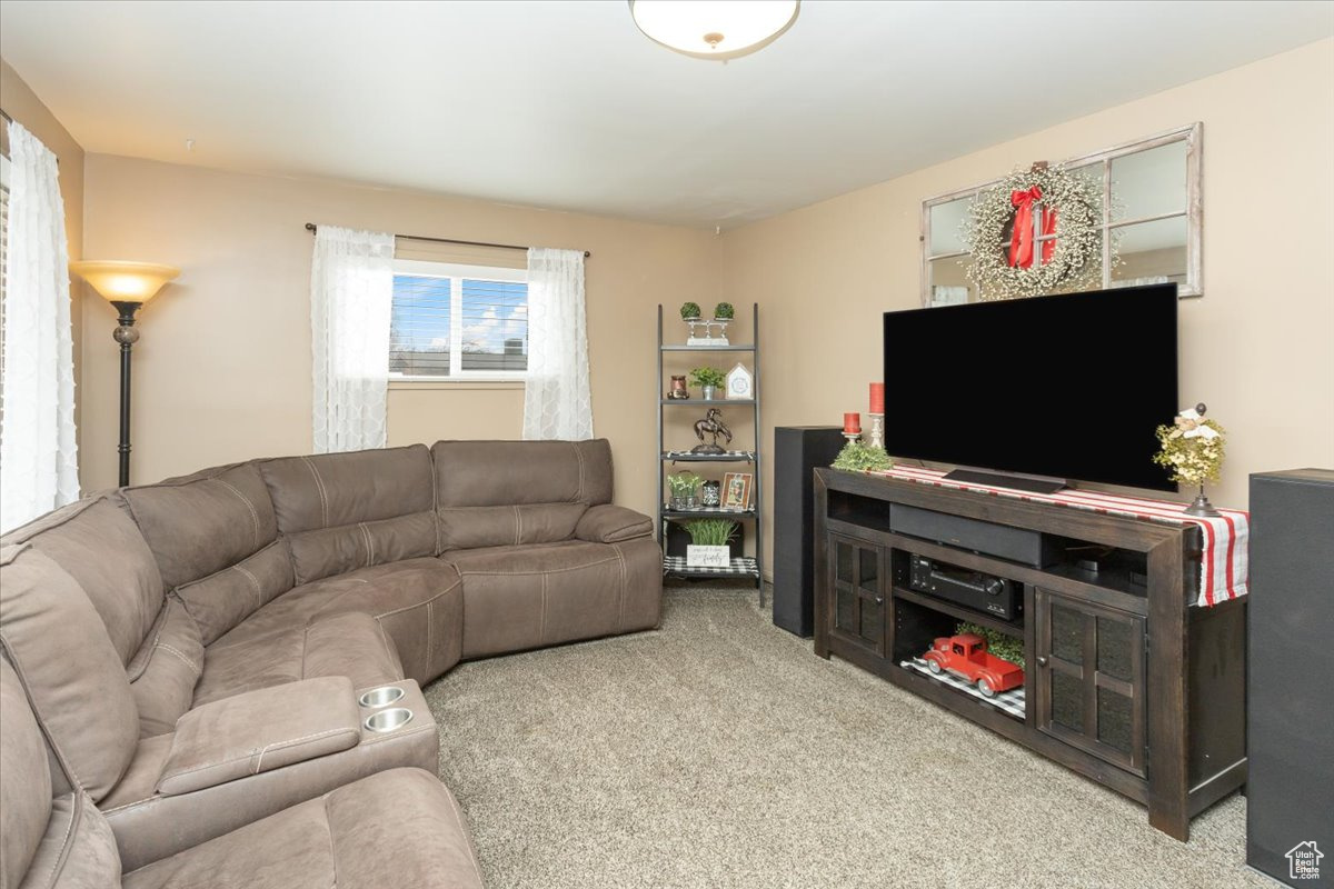 Living room featuring light carpet