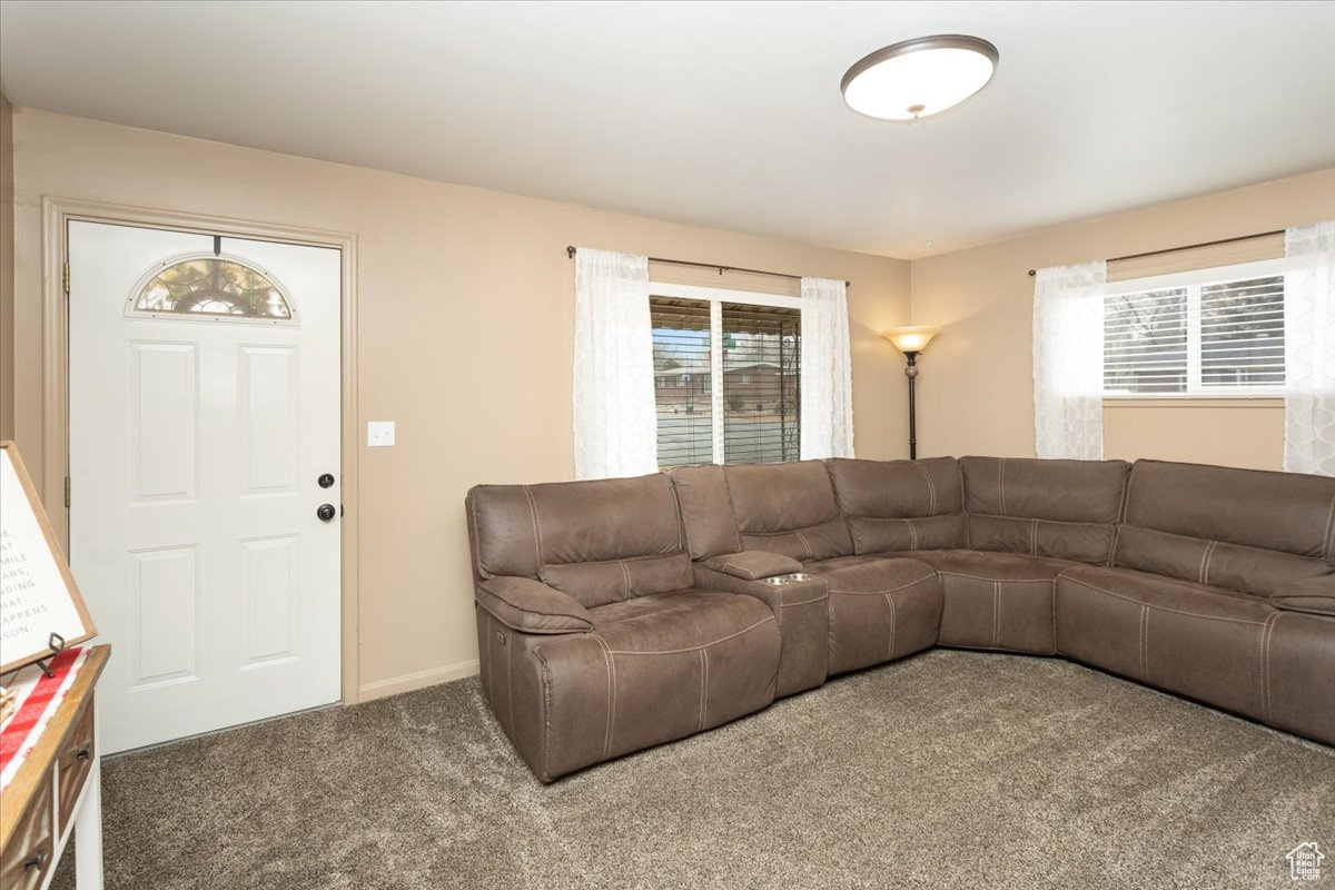 Living room with carpet floors