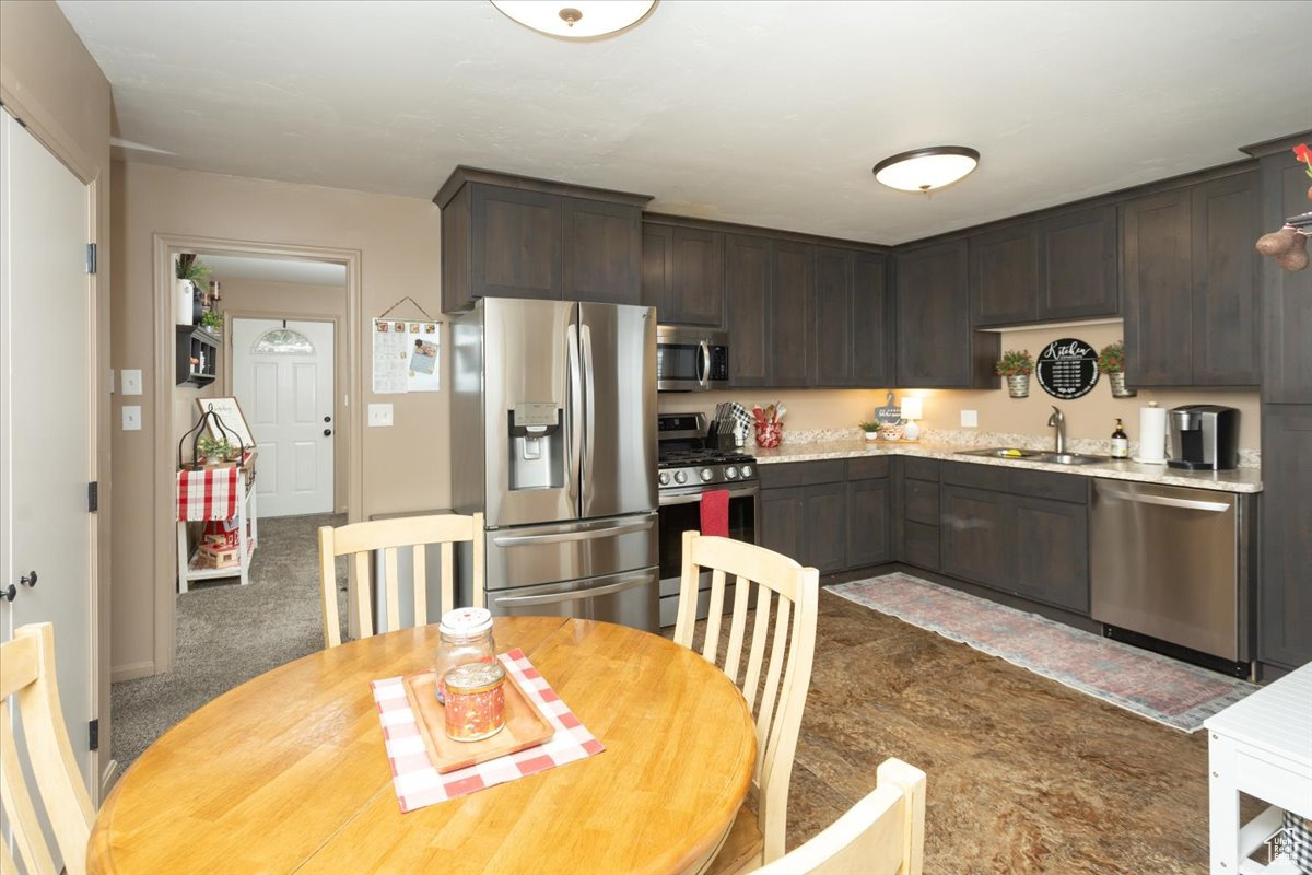 Kitchen with stainless steel appliances, sink, dark brown cabinetry, and dark carpet