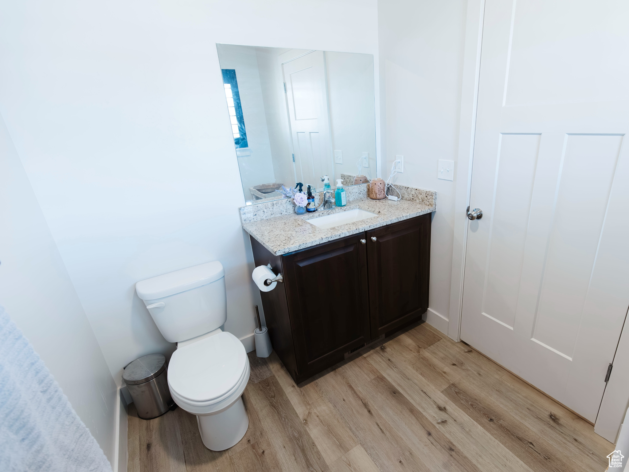 Bathroom with vanity, wood finished floors, and toilet