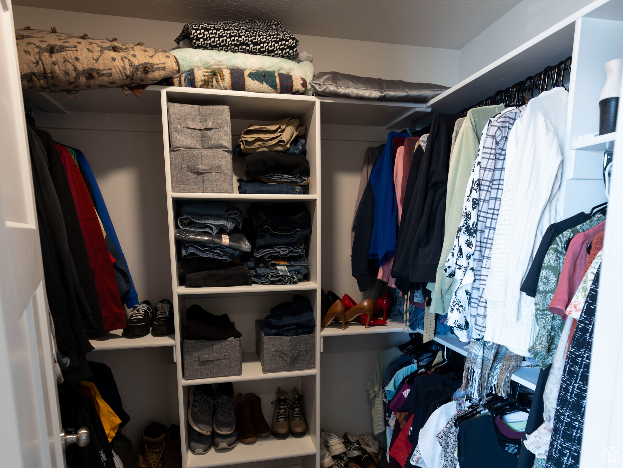 Walk in closet with carpet floors