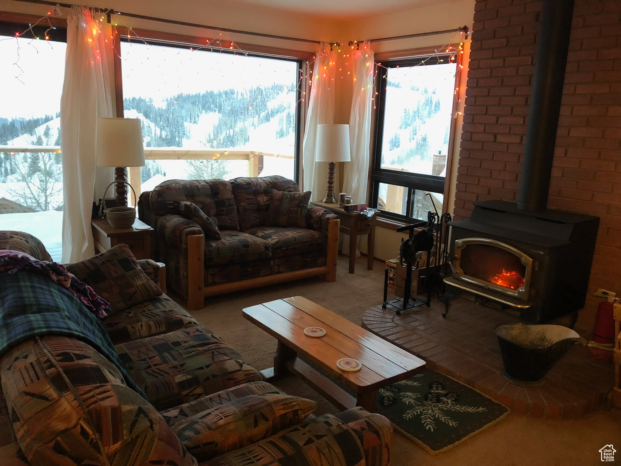 Carpeted living area with a wood stove