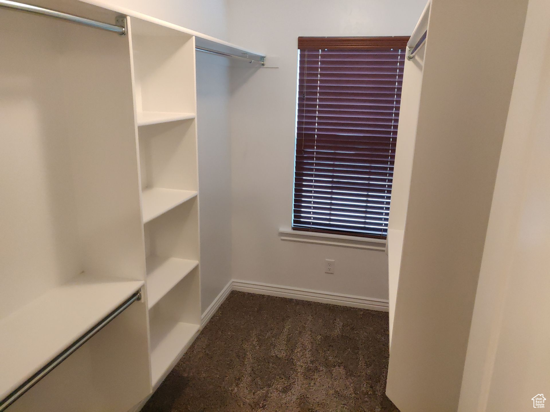 Spacious closet with carpet