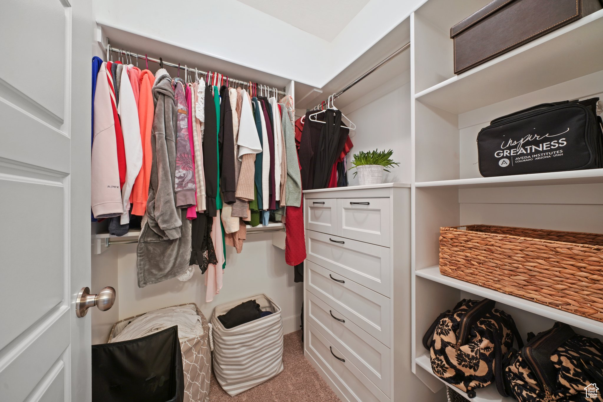 Walk in closet with carpet