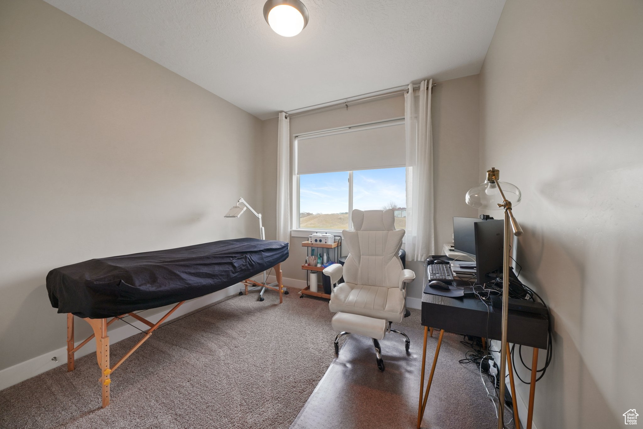 Interior space featuring baseboards and carpet floors