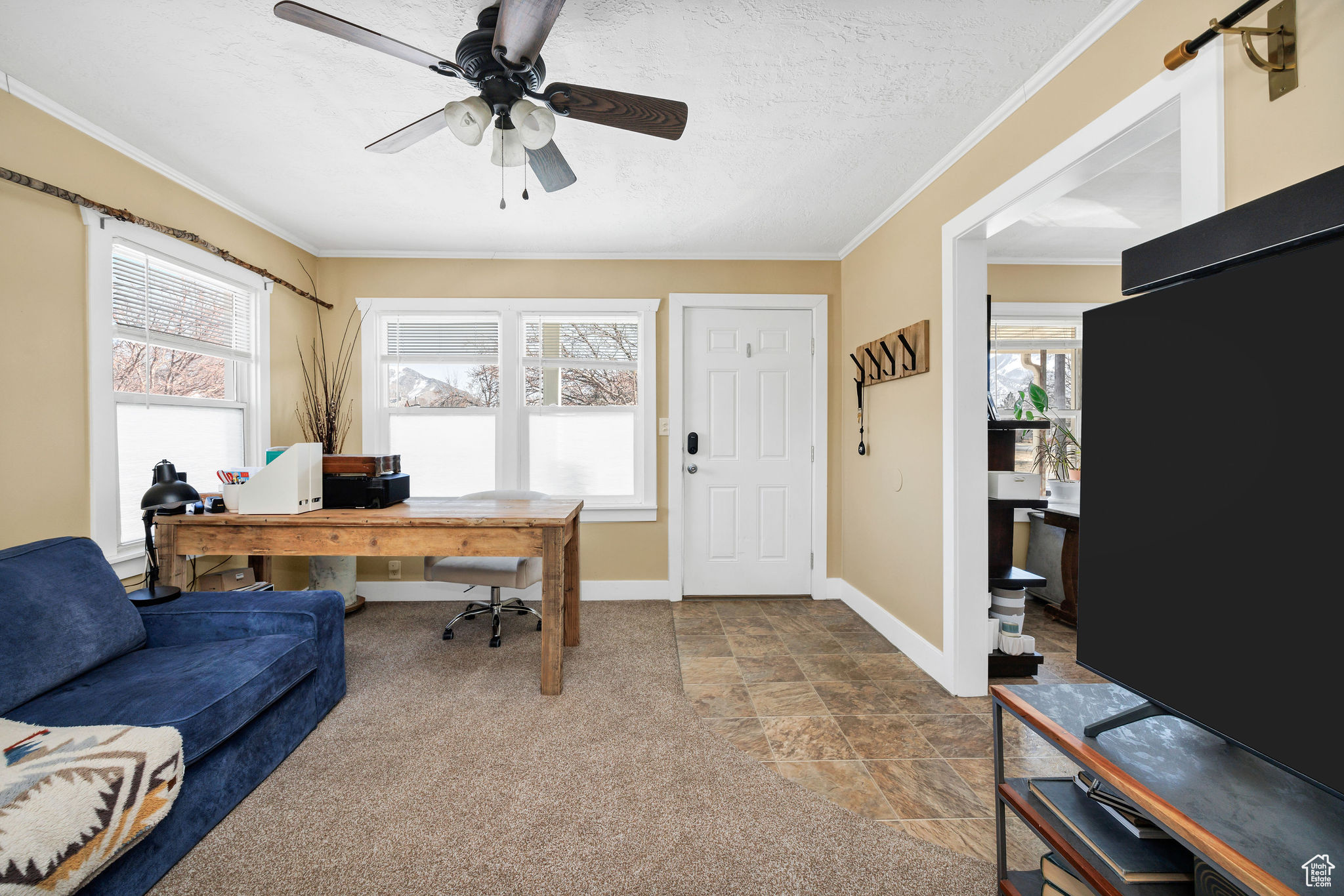 Living room featuring crown molding, a ceiling fan, baseboards, and a textured ceiling