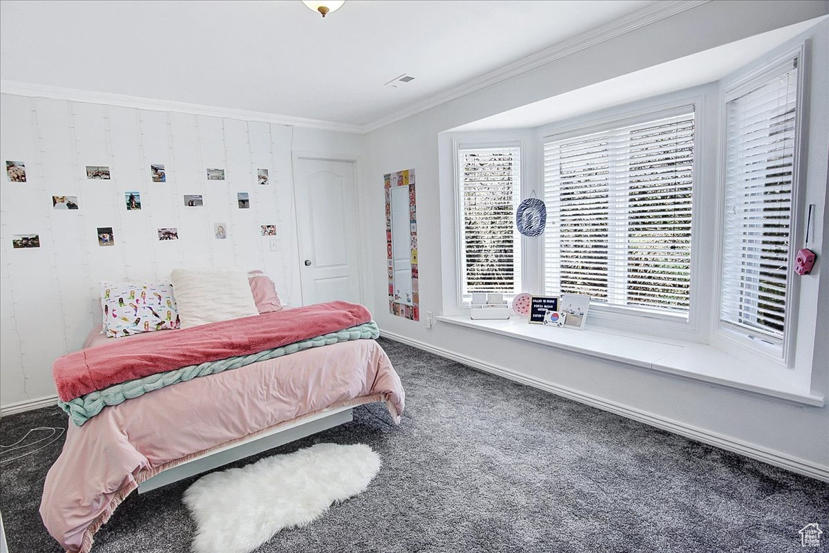 Carpeted bedroom with visible vents, baseboards, and ornamental molding