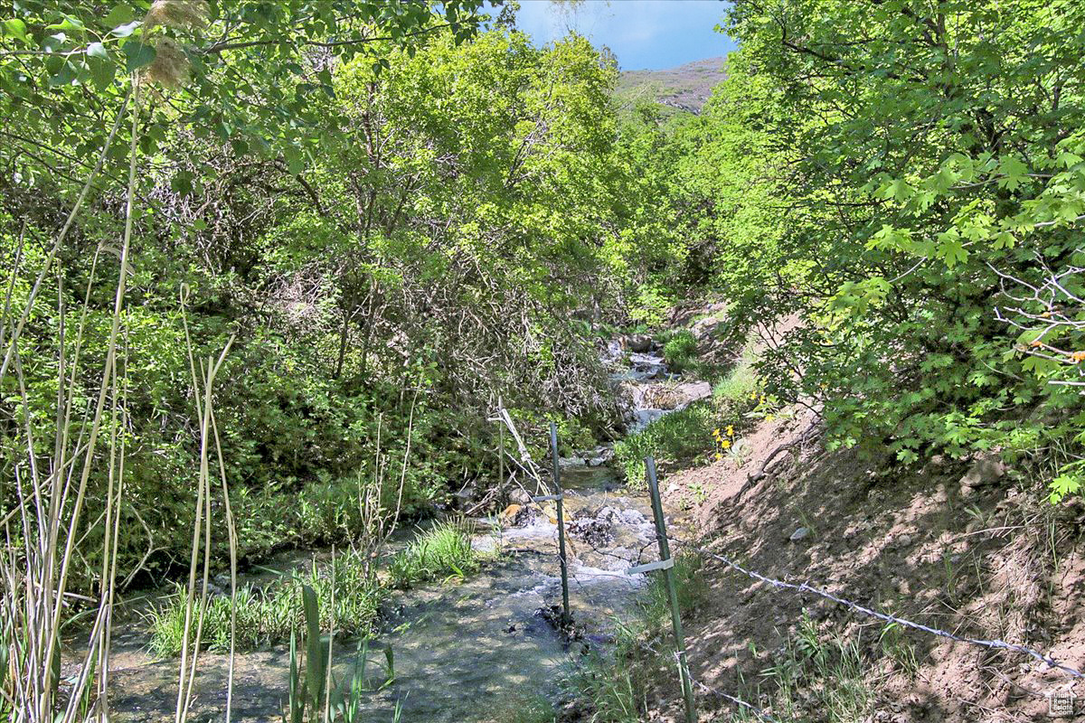 View of local wilderness featuring a view of trees