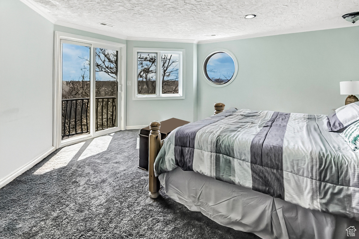 Carpeted bedroom with access to exterior, a textured ceiling, crown molding, and baseboards