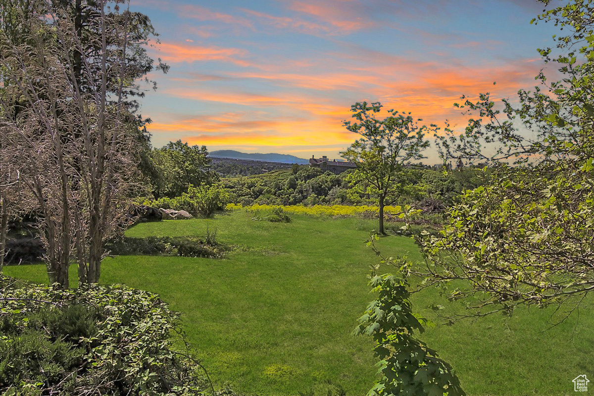 View of yard with a mountain view