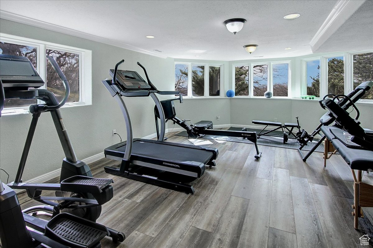 Exercise room with crown molding, plenty of natural light, and wood finished floors