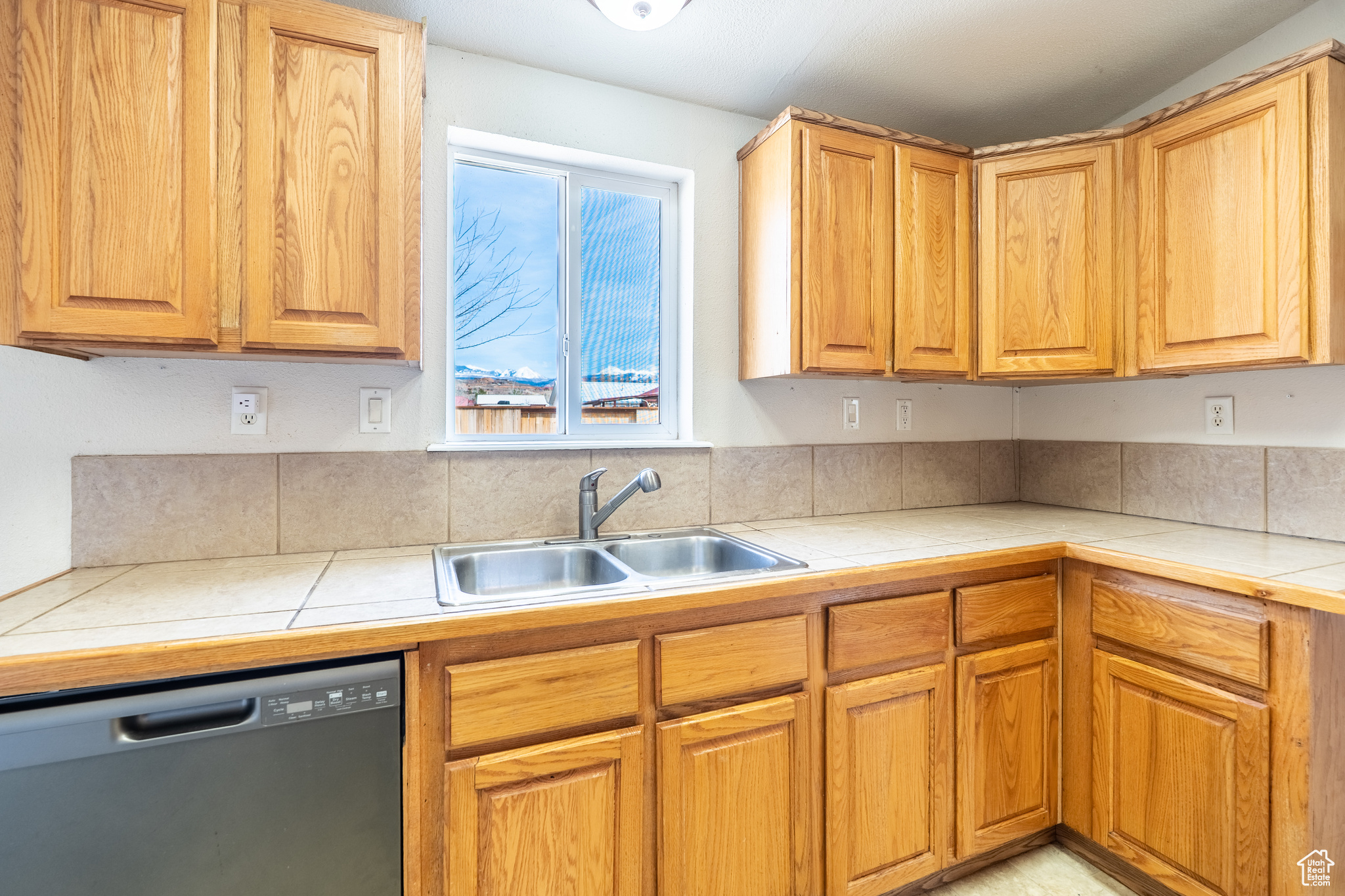 Kitchen featuring dishwasher, a sink, and tile counters