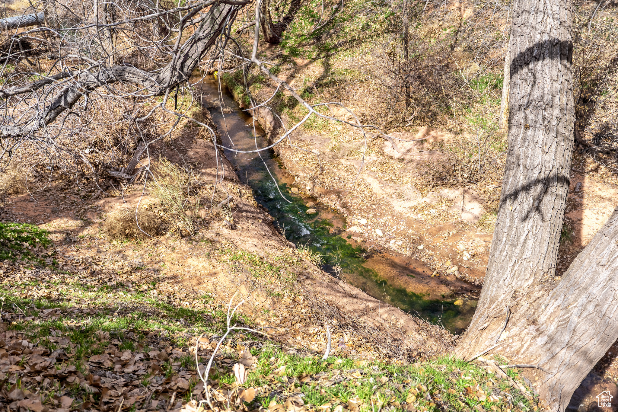 View of landscape