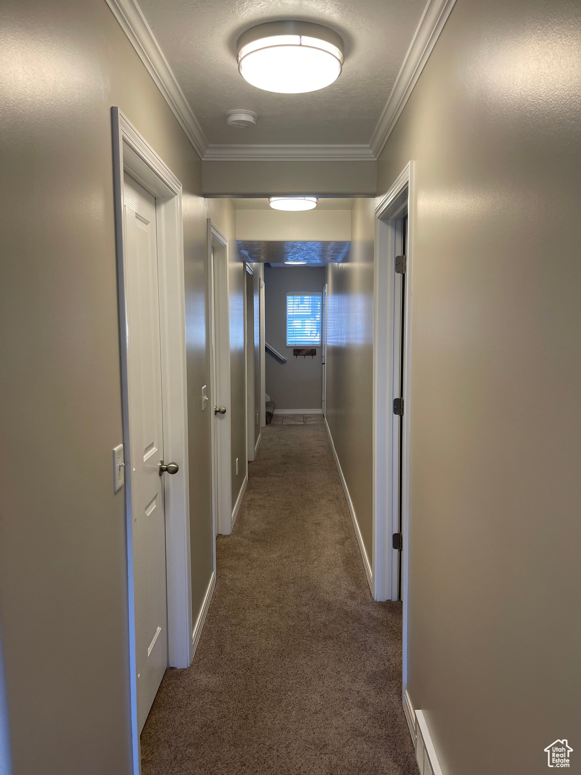 Hall with baseboards, carpet floors, and ornamental molding
